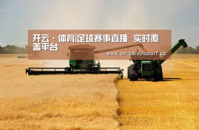 产品名称八(图1)