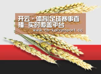 开云·体育|足球赛事直播-实时覆盖平台