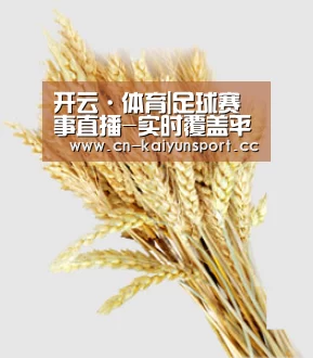 开云·体育|足球赛事直播-实时覆盖平台